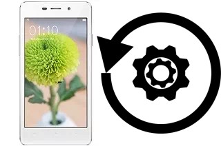 Zurücksetzen oder reset a Oppo Joy 3