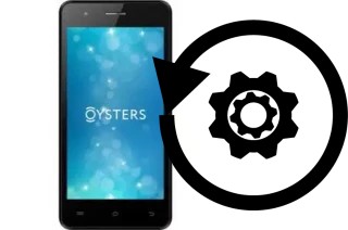 Zurücksetzen oder reset a Oysters Atlantic 4G