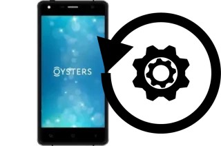 Zurücksetzen oder reset a Oysters Pacific I4G