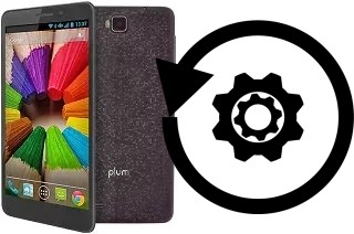 Zurücksetzen oder reset a Plum Coach Pro