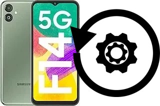 Zurücksetzen oder reset a Samsung Galaxy F14