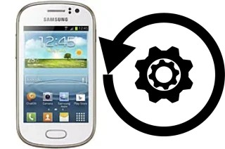 Zurücksetzen oder reset a Samsung Galaxy Fame S6810