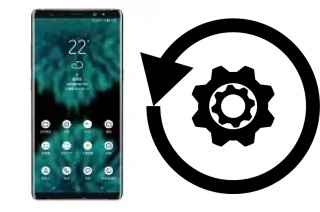 Zurücksetzen oder reset a Samsung Galaxy Note9 Exynos