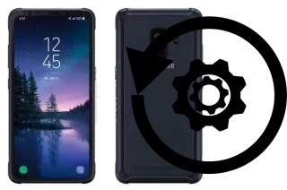 Zurücksetzen oder reset a Samsung Galaxy S9 Active