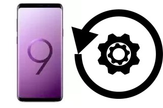 Zurücksetzen oder reset a Samsung Galaxy S9 Exynos