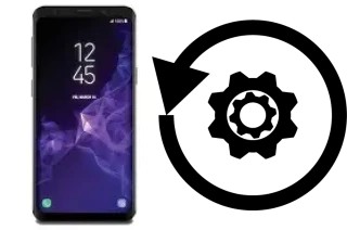 Zurücksetzen oder reset a Samsung Galaxy S9 SD845