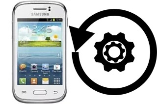 Zurücksetzen oder reset a Samsung Galaxy Young S6310