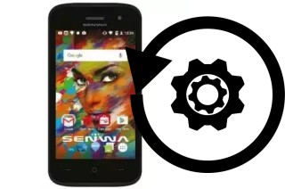 Zurücksetzen oder reset a Senwa S471