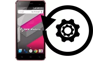 Zurücksetzen oder reset a SKK Chronos Ace Plus