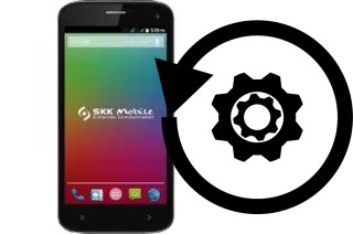 Zurücksetzen oder reset a SKK Phoenix G1