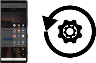 Zurücksetzen oder reset a Sony Xperia 1