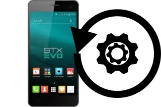 Zurücksetzen oder reset a Stonex STX EVO