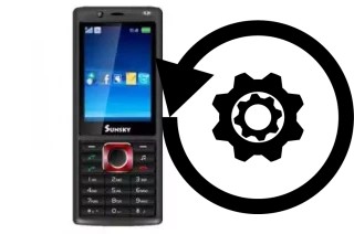 Zurücksetzen oder reset a Sunsky S810