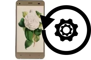 Zurücksetzen oder reset a VC Camellia II