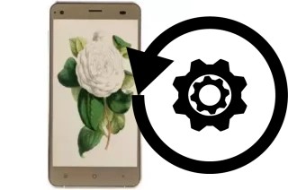 Zurücksetzen oder reset a VC Camellia