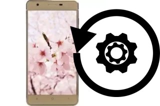 Zurücksetzen oder reset a VC Sakura II