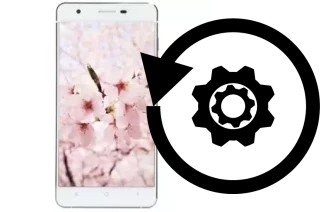 Zurücksetzen oder reset a VC Sakura