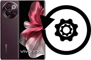 Zurücksetzen oder reset a vivo V30e