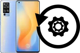 Zurücksetzen oder reset a vivo X50 Pro
