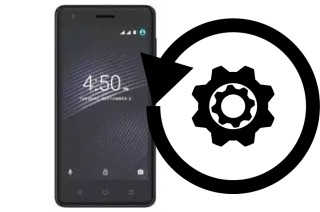 Zurücksetzen oder reset a Walton Primo E8s