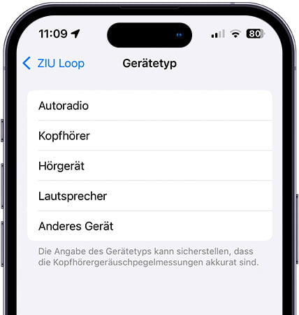 Arten von Bluetooth-Geräten auf dem iPhone