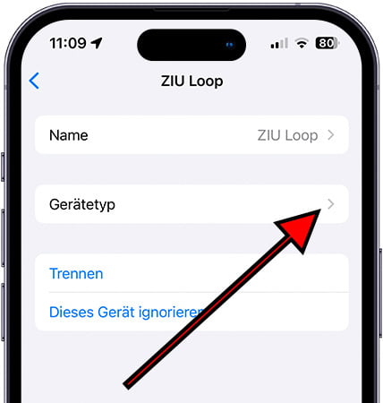 Art des Bluetooth-Geräts auf dem iPhone