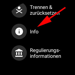 WearOS-Informationen