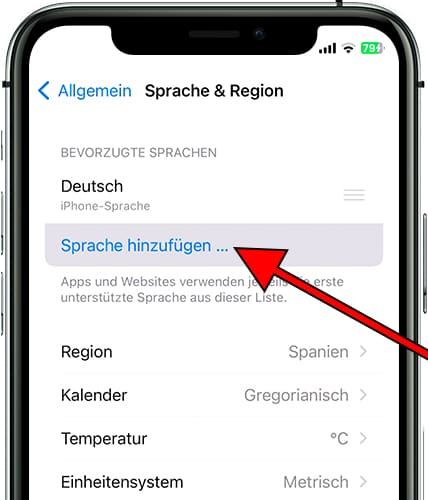 IPhone Sprache iOS