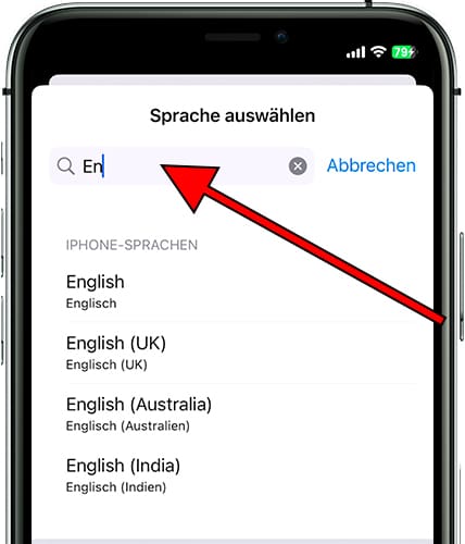 Suche in der iOS-Sprache