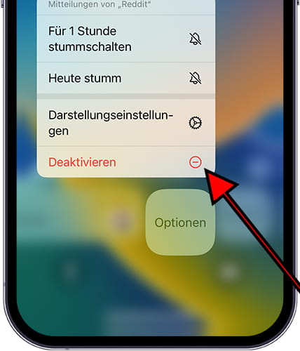 Deaktivieren Sie die iOS-Benachrichtigung