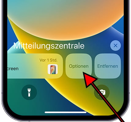 iOS-Benachrichtigungsoptionen