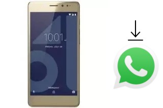 So installieren Sie WhatsApp auf einem 10.or E