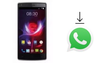 So installieren Sie WhatsApp auf einem Accent Cameleon H2