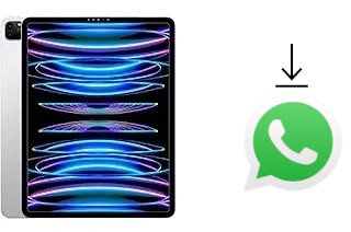 So installieren Sie WhatsApp auf einem Apple iPad Pro 12.9 (2022)