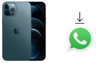 So installieren Sie WhatsApp auf einem Apple iPhone 12 Pro Max