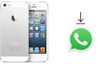 So installieren Sie WhatsApp auf einem Apple iPhone 5