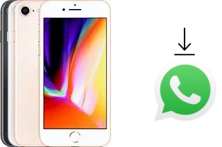 So installieren Sie WhatsApp auf einem Apple iPhone 8