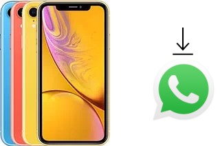 So installieren Sie WhatsApp auf einem Apple iPhone XR