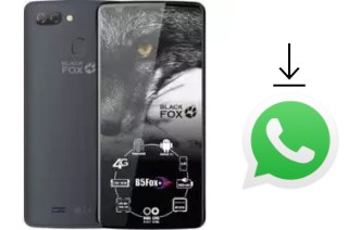 So installieren Sie WhatsApp auf einem Black Fox B5