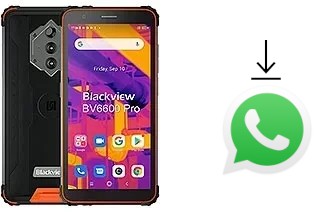 So installieren Sie WhatsApp auf einem Blackview BV6600 Pro