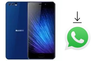 So installieren Sie WhatsApp auf einem Bluboo D2 Pro