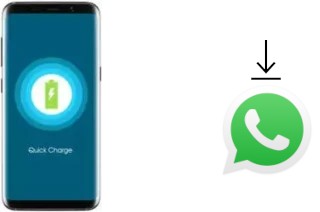 So installieren Sie WhatsApp auf einem Bluboo S8 Lite