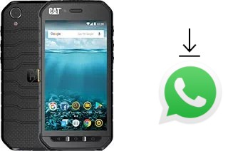 So installieren Sie WhatsApp auf einem Cat S41