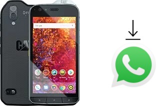 So installieren Sie WhatsApp auf einem Cat S61