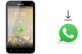 So installieren Sie WhatsApp auf einem Celkon A900