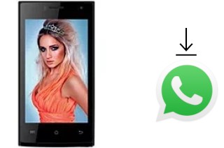 So installieren Sie WhatsApp auf einem Celkon Campus Crown Q40