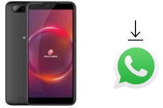 So installieren Sie WhatsApp auf einem Cherry Mobile Flare Y6 Pro