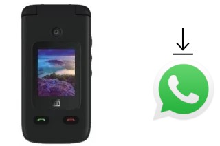 So installieren Sie WhatsApp auf einem Cloud Mobile Mist