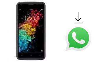 So installieren Sie WhatsApp auf einem Colors Mobile P45