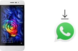 So installieren Sie WhatsApp auf einem Coolpad Fancy